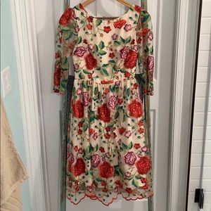 Lace & Mesh embroidered dress